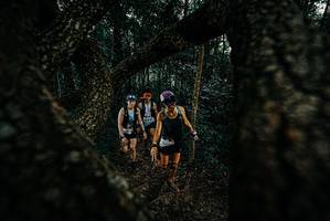 BIB: 
                            <button type="button" onclick="openModal(25677282)" class="btn btn-primary btn-sm float-right btn-popup" data-toggle="modal" data-target=".modal-high-quality">
                        <i class="fas fa-shopping-cart"></i> Add to Cart
                    </button>
                                            <button type="button" onclick="isThisMe(25677282, true)" class="btn btn-success btn-sm float-right btn-popup btn-isme hidden" data-toggle="tooltip" data-placement="bottom" title="นี่คือรูปของคุณใช่ไหม คลิกที่นี่เพื่อเอาเข้าอัลบั้ม">
                        <i class="fas fa-plus"></i> Add to album
                    </button>
                    <button type="button" onclick="isThisMe(25677282, false)" class="btn btn-warning btn-sm float-right btn-popup btn-isnotme hidden">
                        <i class="fas fa-ban"></i> Remove from album
                    </button>